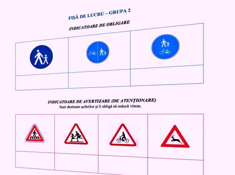 ghid educatie rutiera liceu – Edupedu.ro
